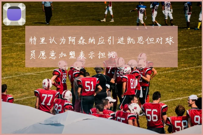 特里认为阿森纳应引进凯恩但对球员愿意加盟表示担忧